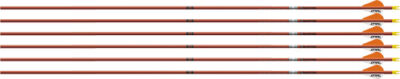 EASTON ARROW FMJ 5MM 340 W/ 2" - BULLY VANES 6-PACK AUTUMN ORG