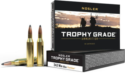 NOSLER TROPHY GRADE 243 WIN - 85GR PARTITION TIP 20RD 10BX/C
