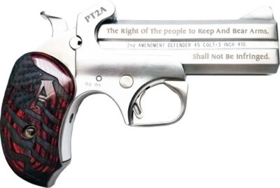 BOND ARMS PROTECT 2ND AMMEND - 357/38SPL 4.25" W/HOLSTER