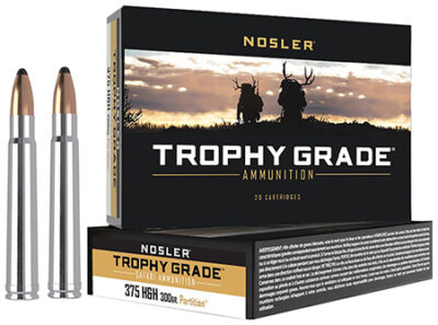 Nosler 40608 Trophy Grade Safari  375H&HMag 300gr Nosler Solid 20 Per Box/10 Case