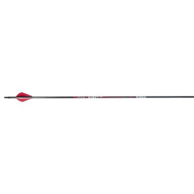 Victory VAP Sport Arrows 350 Raptor Vanes 6 pk.